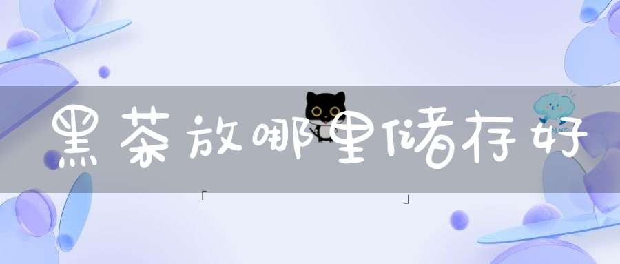 黑茶放哪里储存好