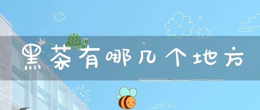 黑茶有哪几个地方