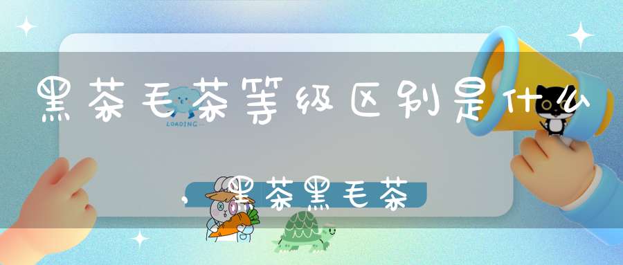 黑茶毛茶等级区别是什么,黑茶黑毛茶