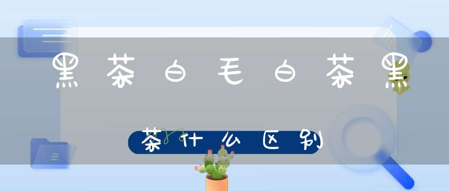 黑茶白毛白茶黑茶什么区别