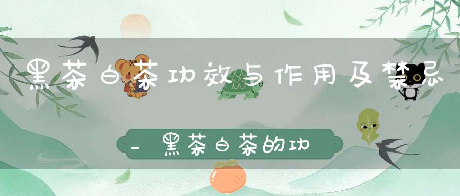 黑茶白茶功效与作用及禁忌_黑茶白茶的功效