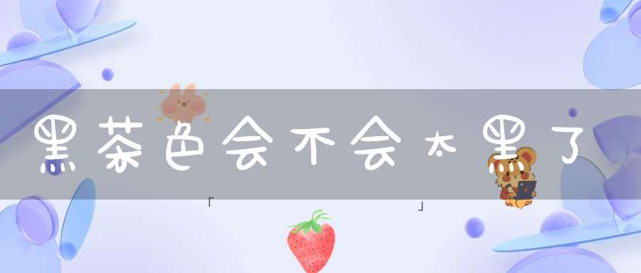 黑茶色会不会太黑了