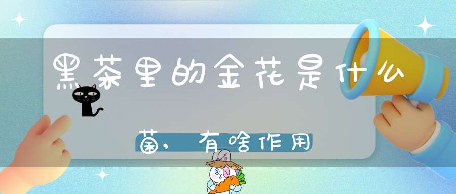 黑茶里的金花是什么菌,有啥作用?