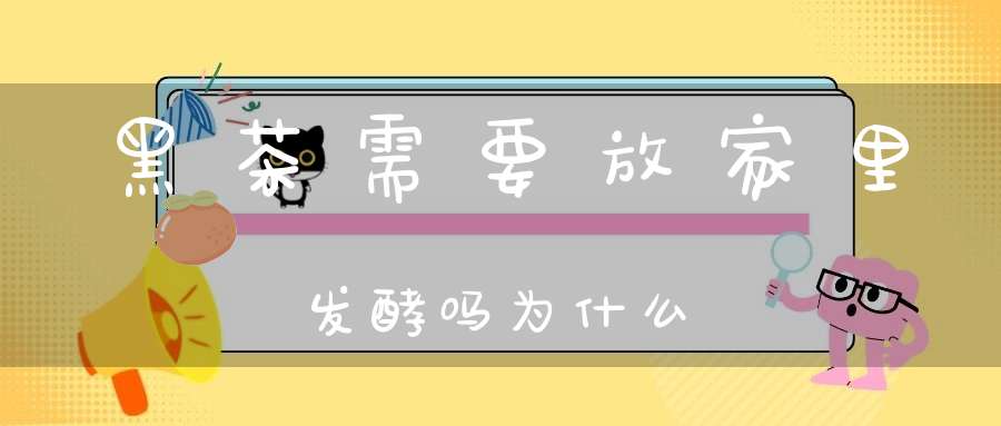 黑茶需要放家里发酵吗为什么