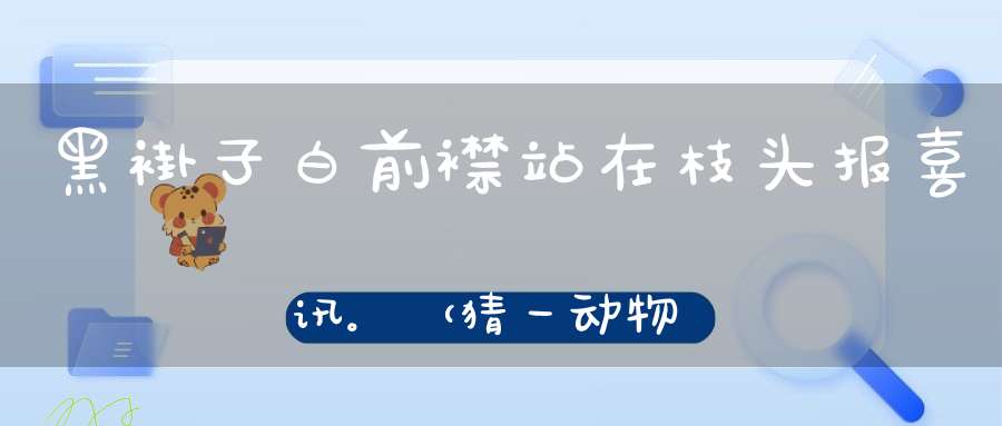 黑褂子，白前襟，站在枝头报喜讯。 （猜一动物）