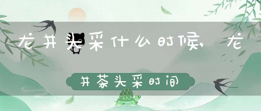 龙井头采什么时候,龙井茶头采时间