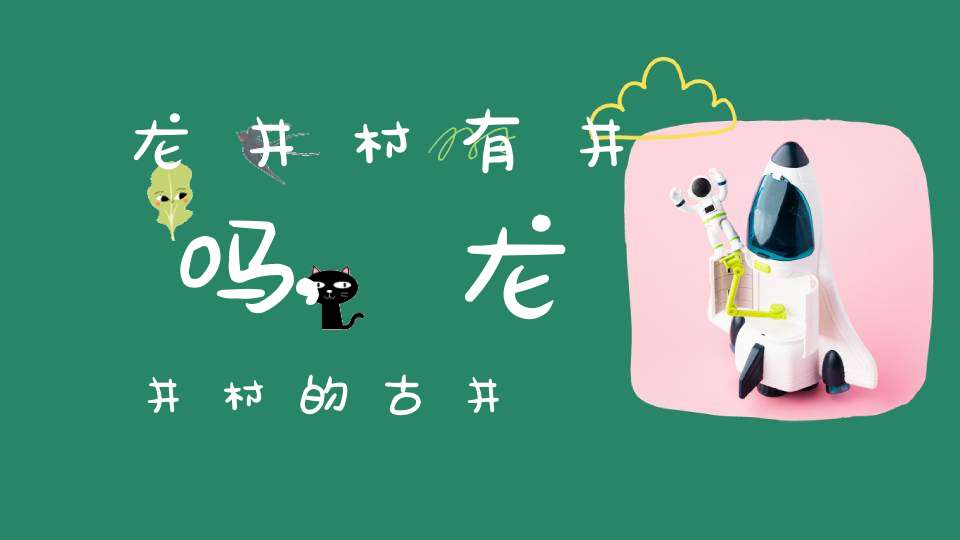 龙井村有井吗,龙井村的古井