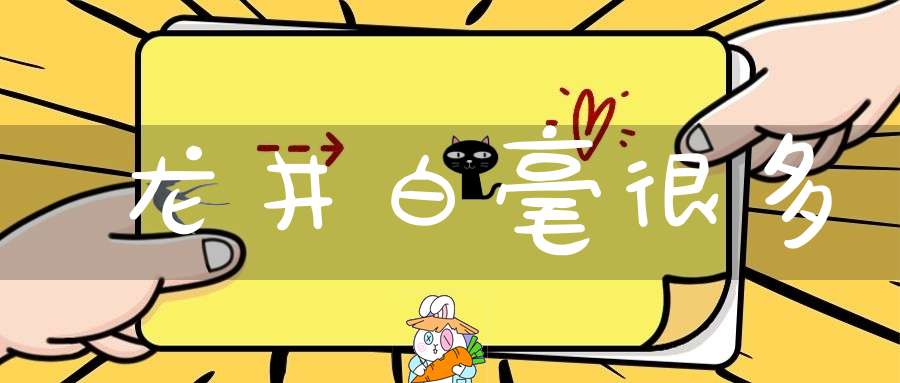 龙井白毫很多