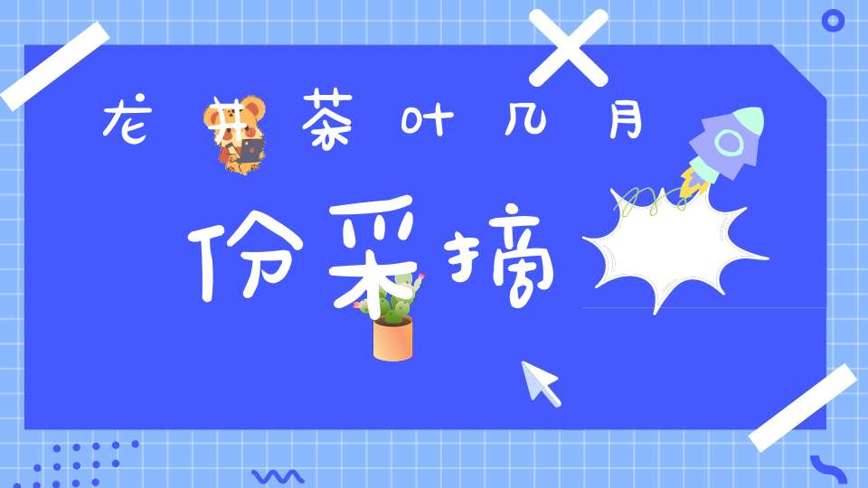 龙井茶叶几月份采摘