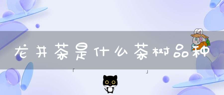 龙井茶是什么茶树品种