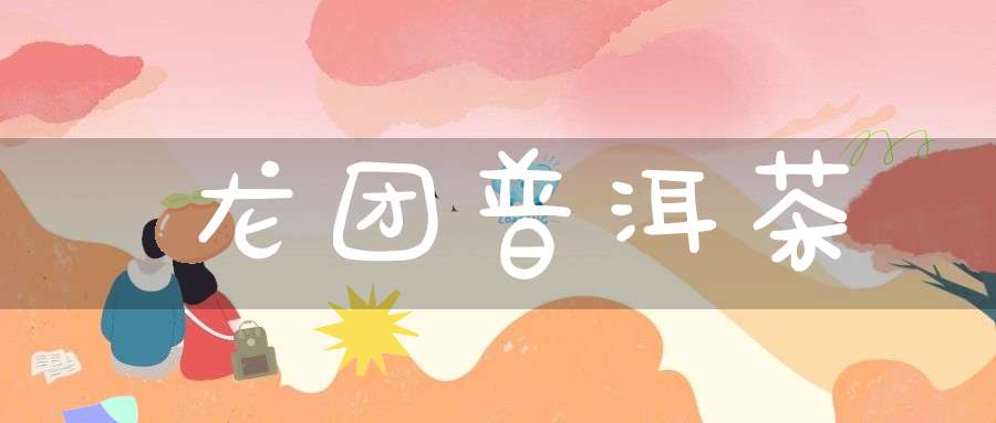 龙团普洱茶