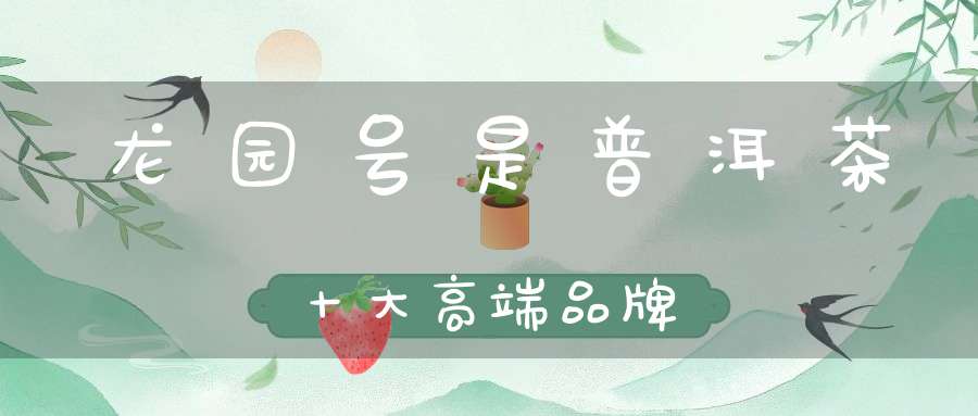 龙园号是普洱茶十大高端品牌