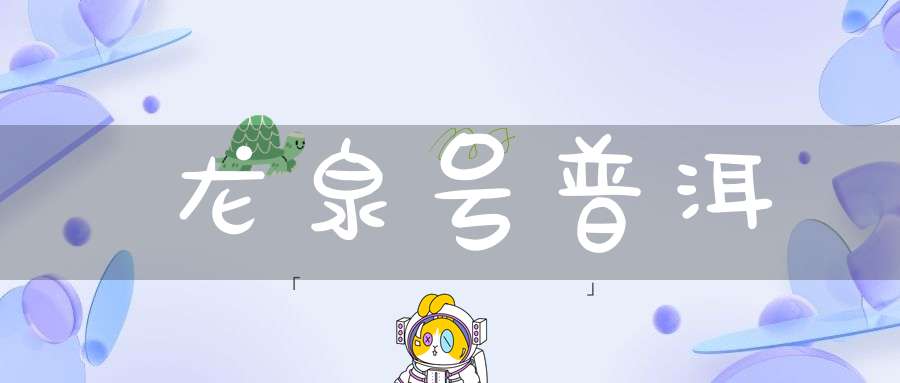 龙泉号普洱